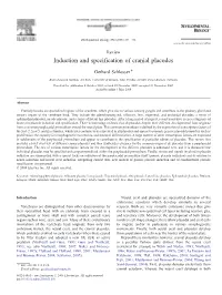 Induction and Specification of Cranial Placodes ⁎ Gerhard Schlosser