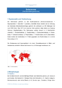 Solanaceae.Pdf
