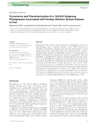 D Subgroup Phytoplasma Associated with Parsley Witches&#X2019