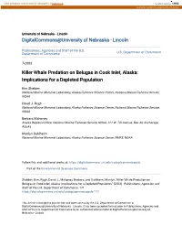 Killer Whale Predation on Belugas in Cook Inlet, Alaska: Implications for a Depleted Population