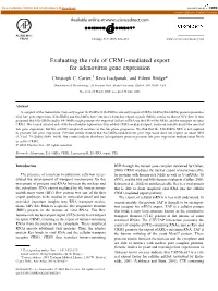 Evaluating the Role of CRM1-Mediated Export for Adenovirus Gene Expression