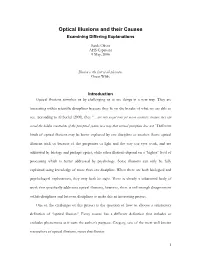 Optical Illusions and Their Causes Examining Differing Explanations