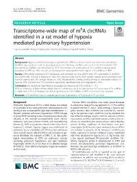 Transcriptome-Wide Map of M6a Circrnas Identified in a Rat Model Of