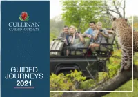 Guided Journeys 2021 Start Your Guided Journey with Us