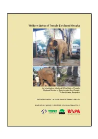 Welfare Status of Temple Elephant Menaka