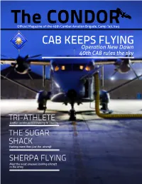 CAB KEEPS FLYING Operation New Dawn 40Th CAB Rules the Sky