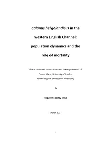 Calanus Helgolandicus in the Western English Channel: Population Dynamics and the Role of Mortality