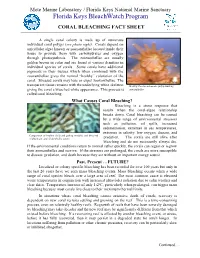 What Is Coral Bleaching