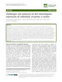 Challenges and Advances in the Heterologous Expression Of