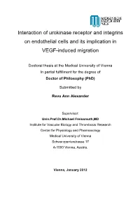 Interaction of Urokinase Receptor and Integrins on Endothelial Cells and Its Implication in VEGF-Induced Migration