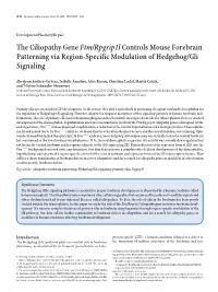 The Ciliopathy Gene Ftm/Rpgrip1l Controls Mouse Forebrain Patterning Via Region-Specific Modulation of Hedgehog/Gli Signaling