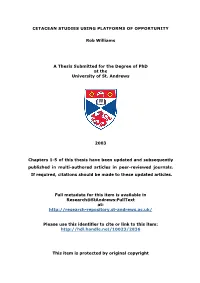 Rob Williams Phd Thesis