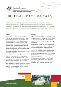 The Feral Goat (Capra Hircus)