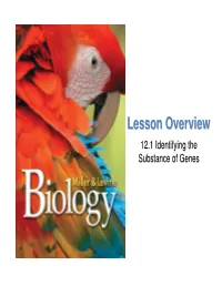12.1 Identifying the Substance of Genes Lesson Overview Identifying the Substance of Genes