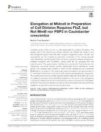 Elongation at Midcell in Preparation of Cell Division Requires Ftsz, but Not Mreb Nor PBP2 in Caulobacter Crescentus