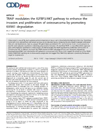 TRAIP Modulates the IGFBP3/AKT Pathway to Enhance the Invasion