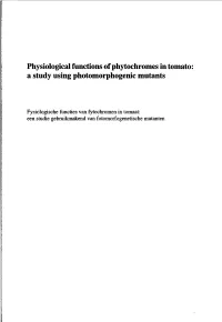 Physiological Functions of Phytochromes in Tomato: a Study Using Photomorphogenic Mutants