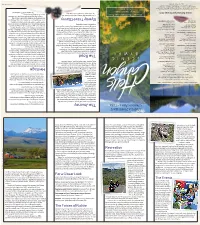 Print Brochure!