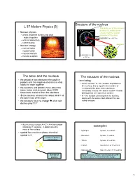 Structure of the Nucleus