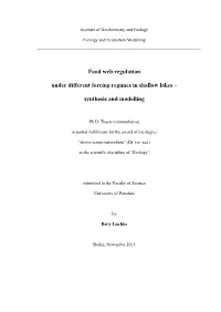 Food Web Regulation Under Different Forcing Regimes in Shallow Lakes –