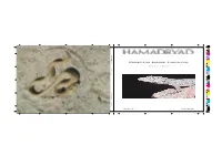 Gekkotan Lizard Taxonomy