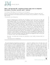Intra- and Interspecific Variation in Home-Range Size in Sympatric Tuco-Tucos, Ctenomys Australis and C