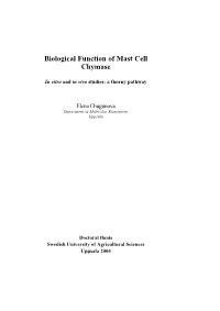 Biological Function of Mast Cell Chymase