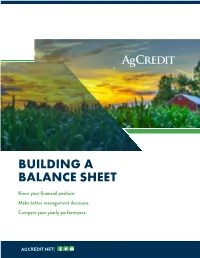 Building a Balance Sheet Guide