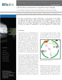 Cell Synchrony Determination Using Microscopic Imaging