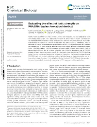 Evaluating the Effect of Ionic Strength on PNA:DNA Duplex Formation Kinetics