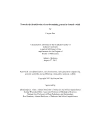 Fanyue Sun-Dissertation.Pdf