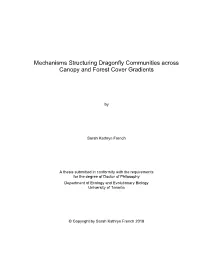Mechanisms Structuring Dragonfly Communities Across Canopy and Forest Cover Gradients