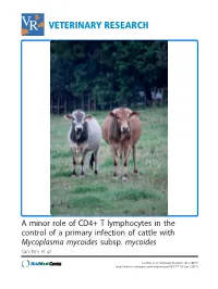 Mycoplasma Mycoides Subsp
