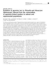 Evolution of Apomixis Loci in Pilosella and Hieracium (Asteraceae) Inferred from the Conservation of Apomixis-Linked Markers in Natural and Experimental Populations