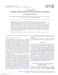 Molecular Mimicry Modulates Plant Host Responses to Pathogens