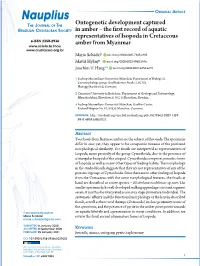 Download PDF (Inglês)