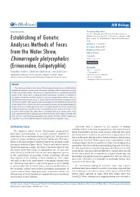 Establishing of Genetic Analyses Methods of Feces from the Water Shrew, Chimarrogale Platycephalus (Erinaceidae, Eulipotyphla)