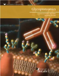 Glycoproteomics Understanding Protein Modifications