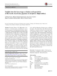 Insights Into the Karyotype Evolution and Speciation of the Beetle Euchroma Gigantea (Coleoptera: Buprestidae)