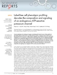 Label-Free Cell Phenotypic Profiling Decodes the Composition And