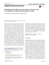 Morphological and Ultrastructural Changes in Bacterial Cells As an Indicator of Antibacterial Mechanism of Action