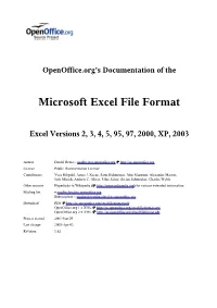 The Microsoft Excel File Format"