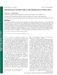 Twignesting Ants: the Hidden Predators of the Coffee Berry Borer