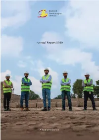 DLL Annual Report 2020
