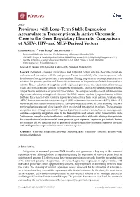 Proviruses with Long-Term Stable Expression Accumulate In