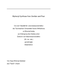 Biphenyl Synthase from Gentian and Pear