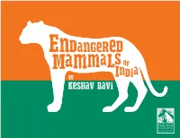 Keshav Ravi by Keshav Ravi