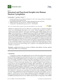 Structural and Functional Insights Into Human Nuclear Cyclophilins