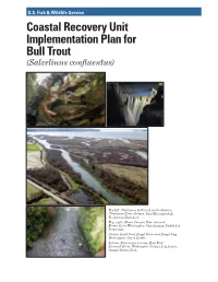 Coastal Recovery Unit Implementation Plan for Bull Trout (Salvelinus Confluentus)