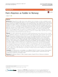 Fern Rhizomes As Fodder in Norway Torbjørn Alm